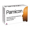 pamicon